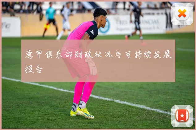 意甲俱乐部财政状况与可持续发展报告