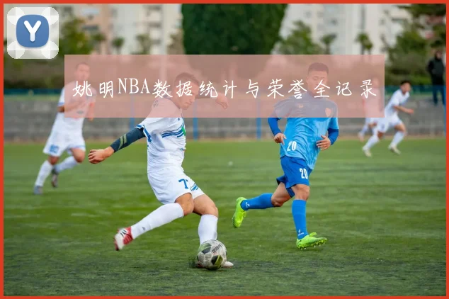 姚明NBA数据统计与荣誉全记录