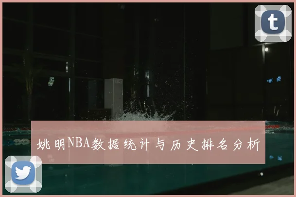 姚明NBA数据统计与历史排名分析