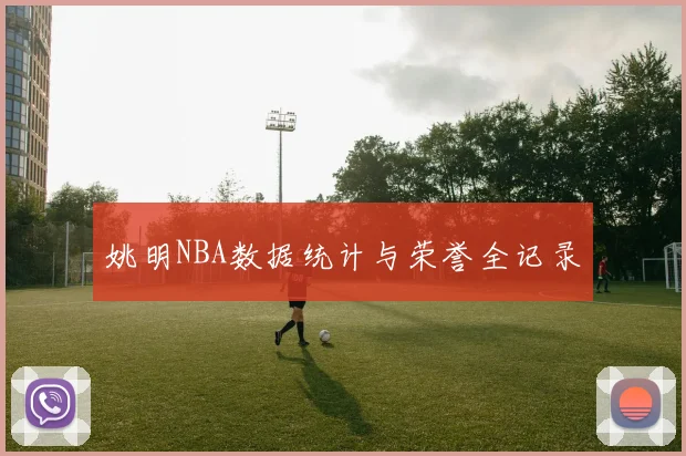 姚明NBA数据统计与荣誉全记录