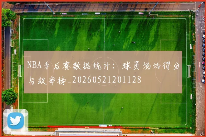 NBA季后赛数据统计:球员场均得分与效率榜_20260521201128